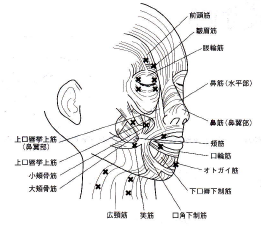 脳神経外科 主な対象疾患の説明 4 部門紹介 豊橋市民病院